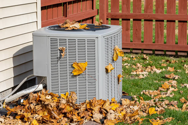 Best Local HVAC Companies  in Holden, MO